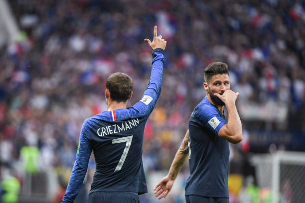 对比鲜明的 对比鲜明的